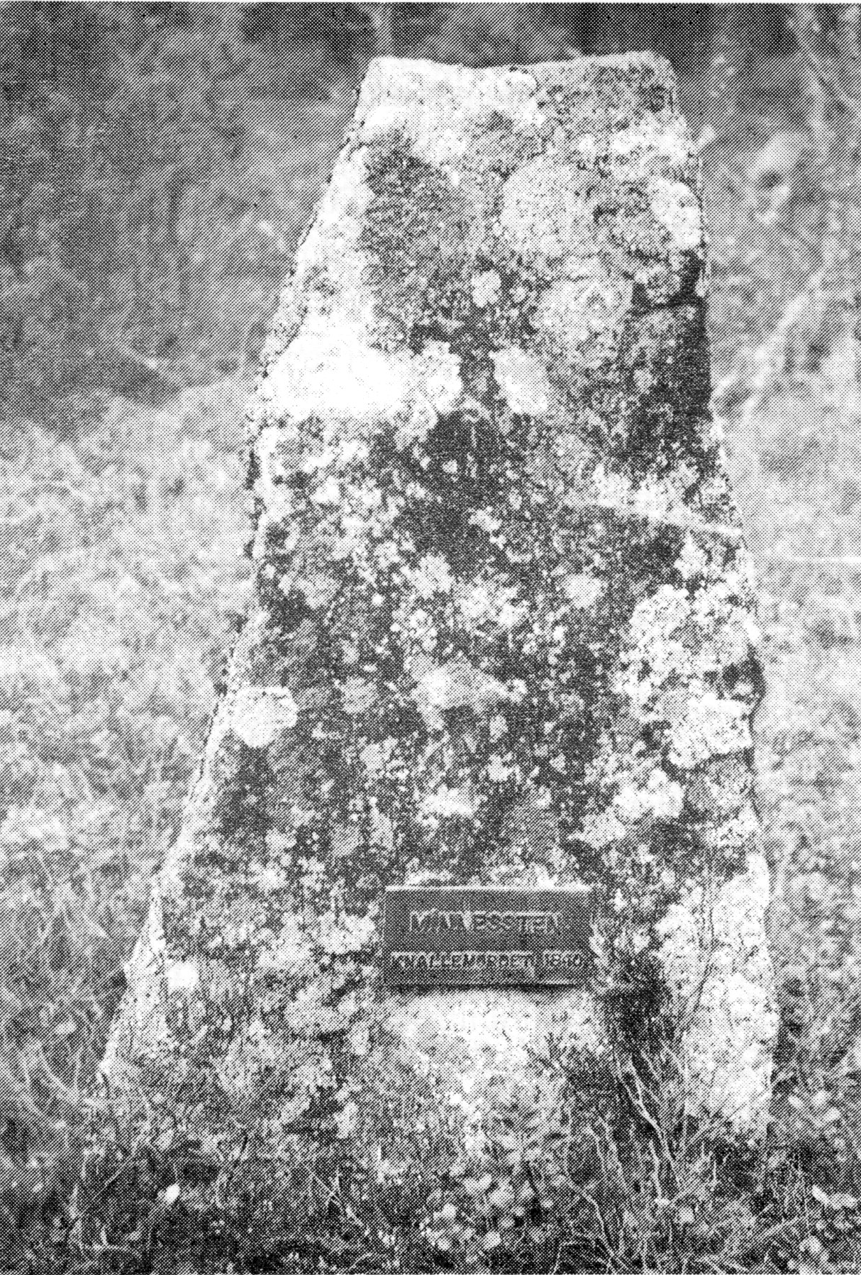 Minnessten över mordet i Linnehult1840 (Foto:Elis Arfvidsson, 1996) minnessten
