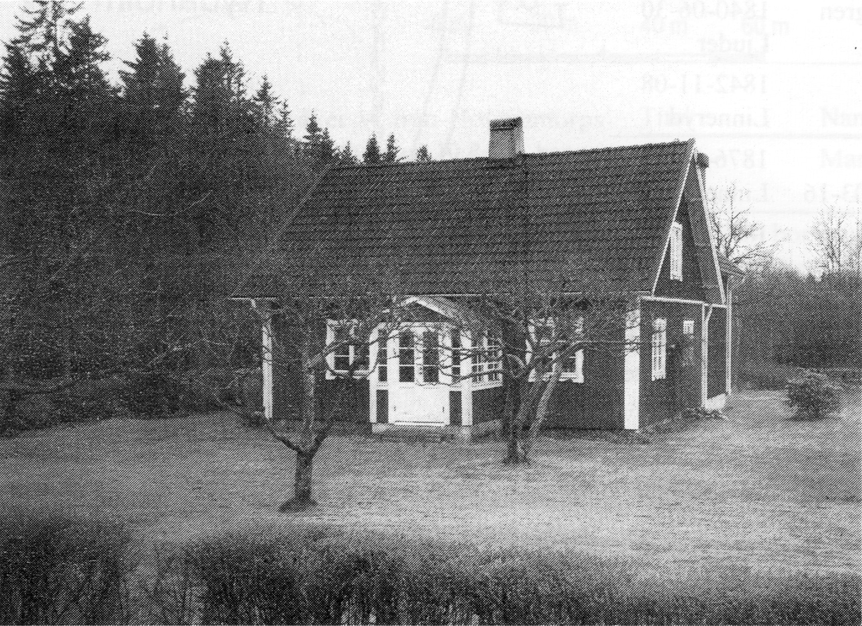 skogsdal
